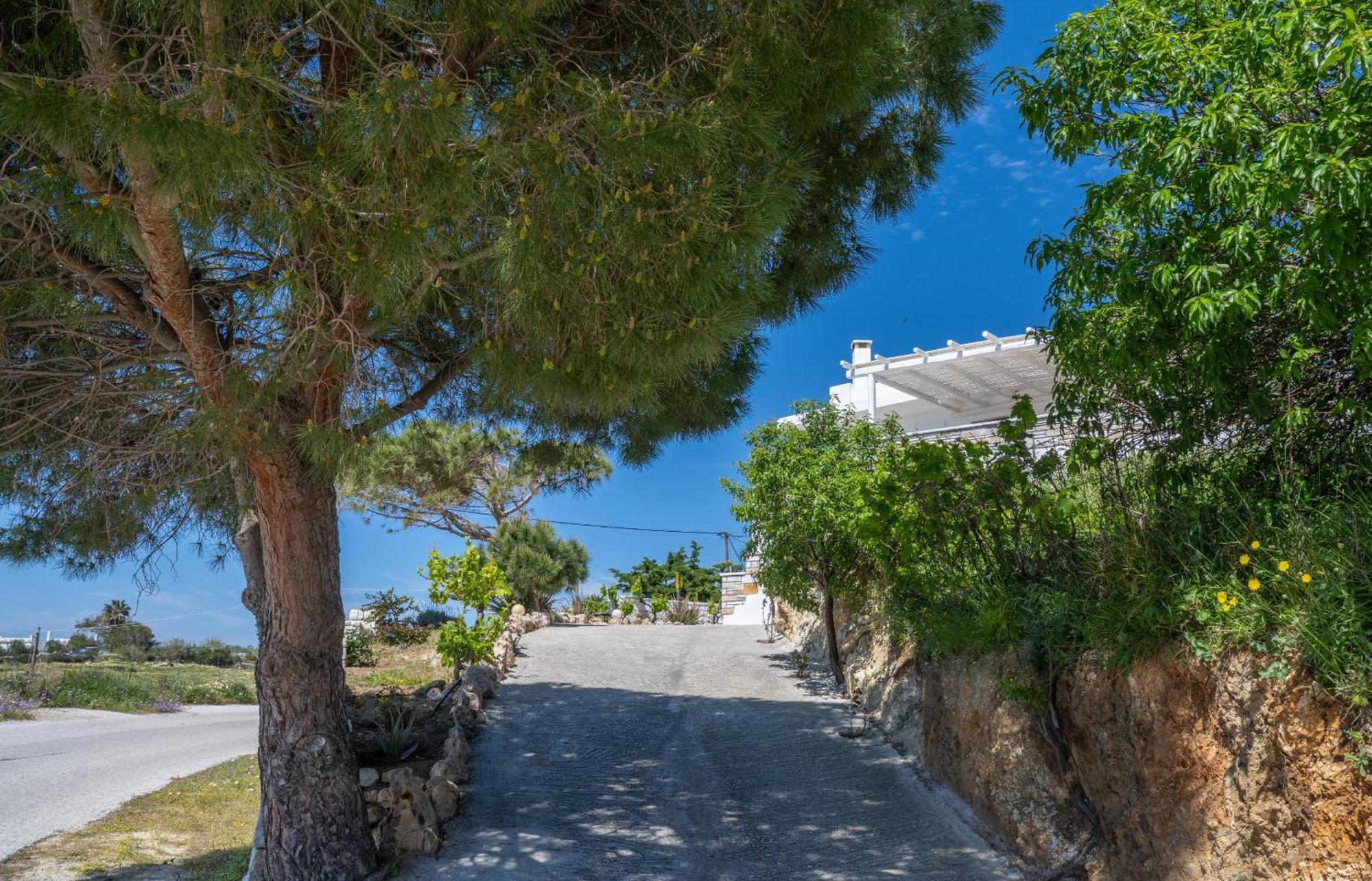 'Sophie'S Villa' Akrotiri  Ngoại thất bức ảnh